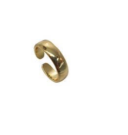 RNI0026- Gold, Wide Ring