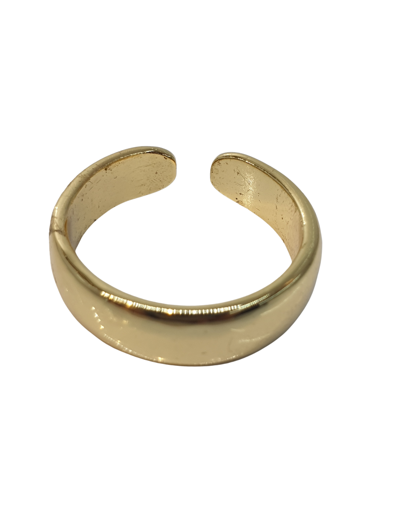 RNI0026- Gold, Wide Ring