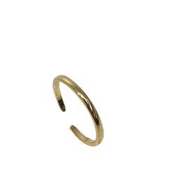 RNI0029- Gold, Small Ring