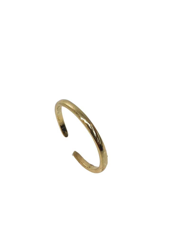 RNI0029- Gold, Small Ring