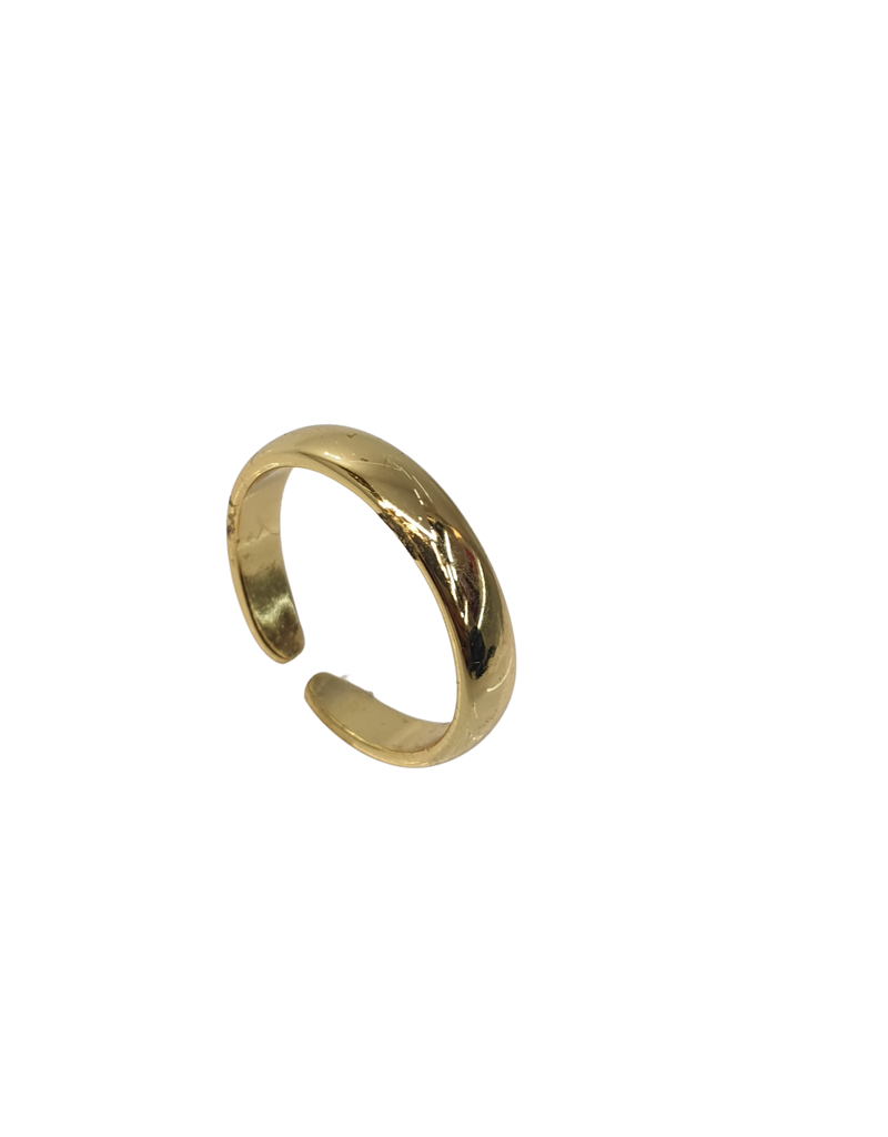 RNI0030- Gold, Medium Ring