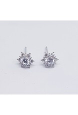 ERJ0228 - Silver,Heart Earring