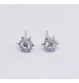 ERJ0228 - Silver,Heart Earring
