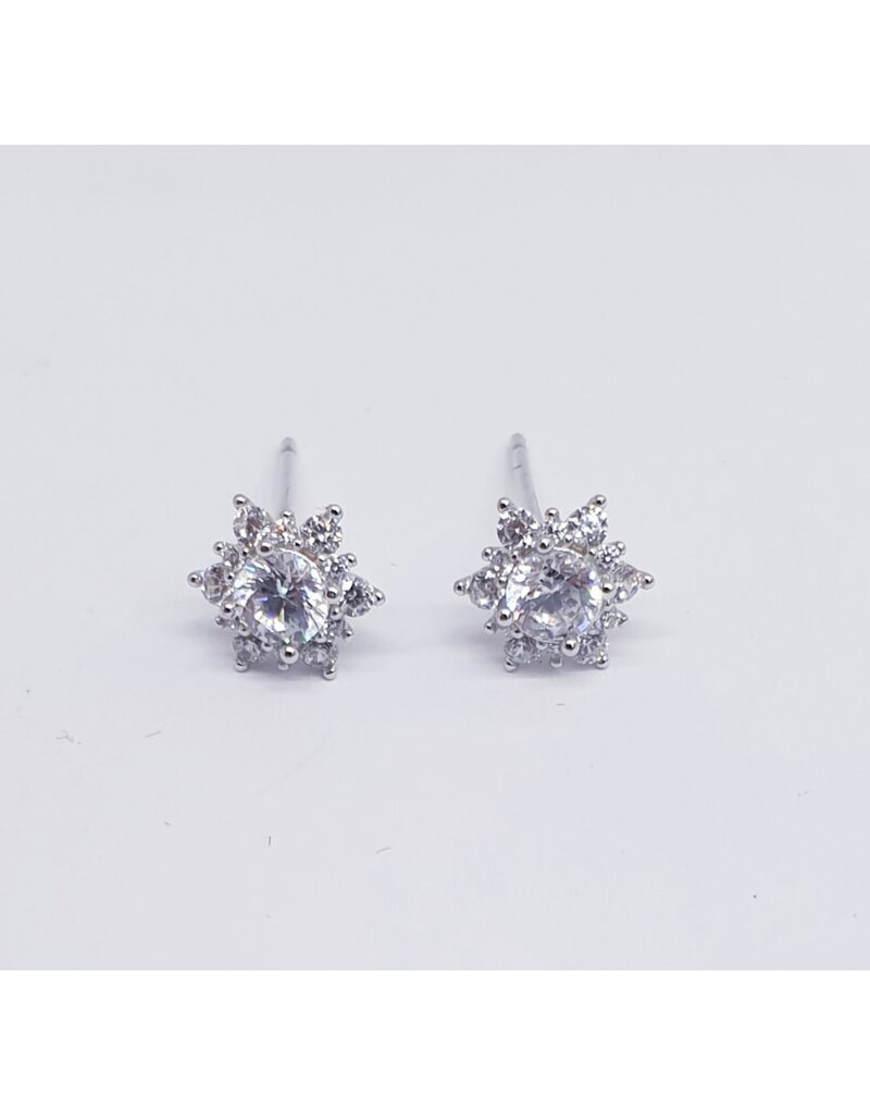 ERJ0228 - Silver,Heart Earring
