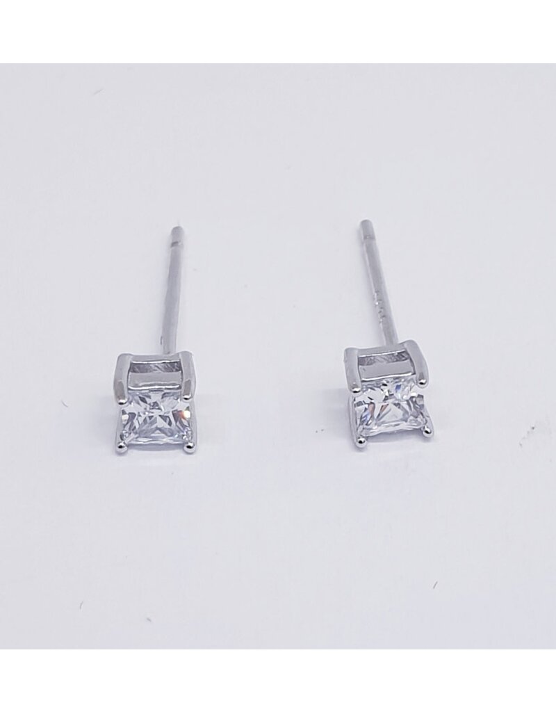 ERJ0238 - Silver Earring