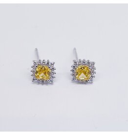 ERJ0245 - Silver,Yellow Earring