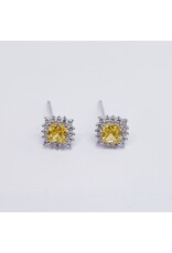 ERJ0245 - Silver,Yellow Earring