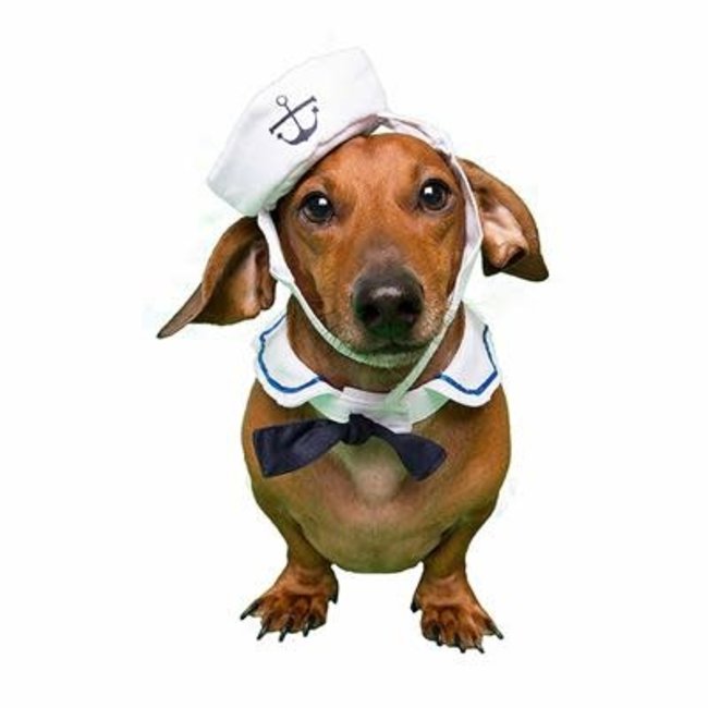 Pet Krewe Sailor Hat (fits cats too)