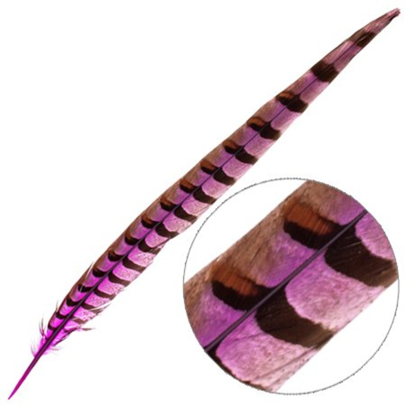 Reeves Pheasant Tail 20-25" (3 Pcs) Dyed Hot Pink
