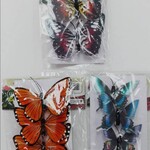 Printed Feather Butterfly Wire Clip Assortment