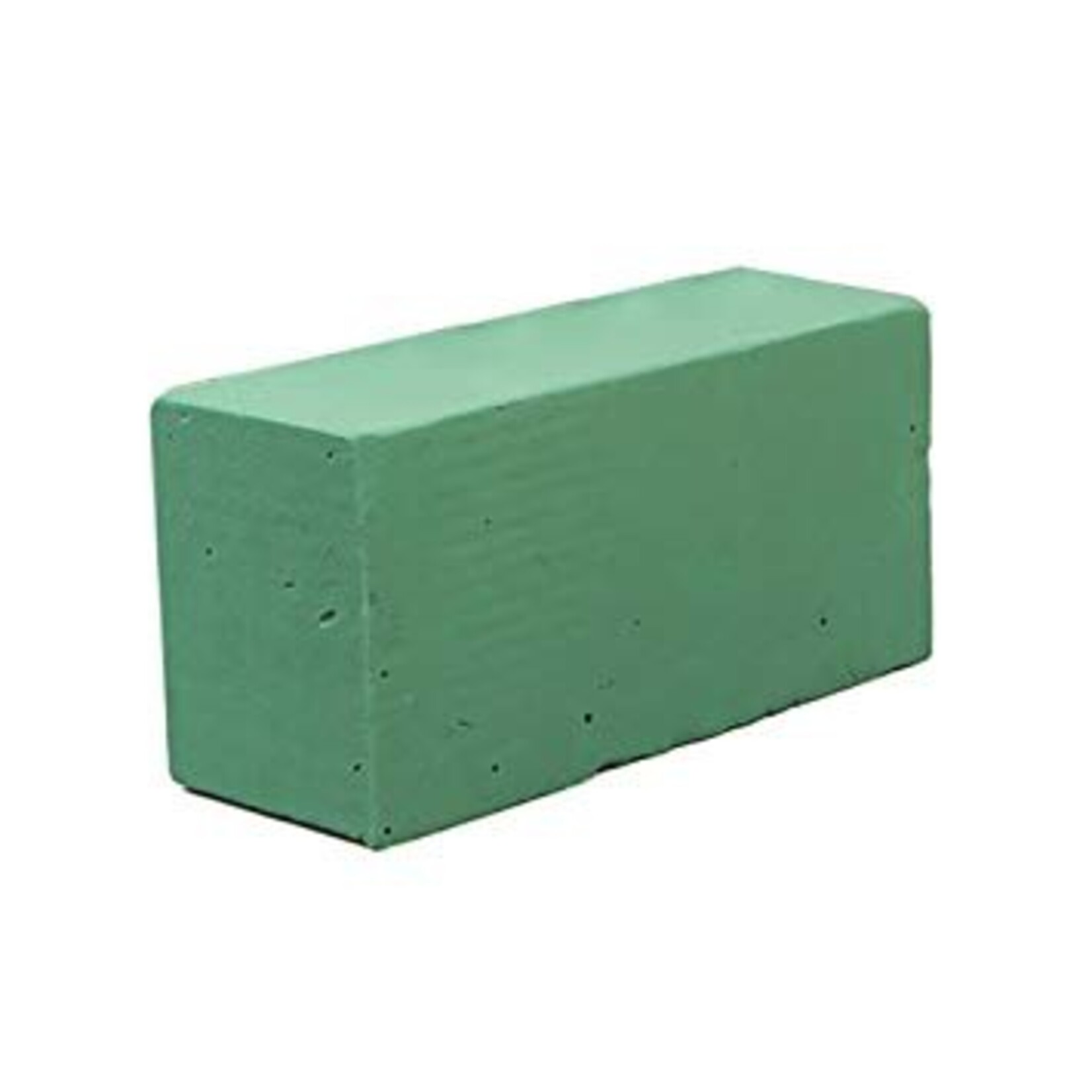 Oasis Dry Foam Light Green 9 X4 Inches