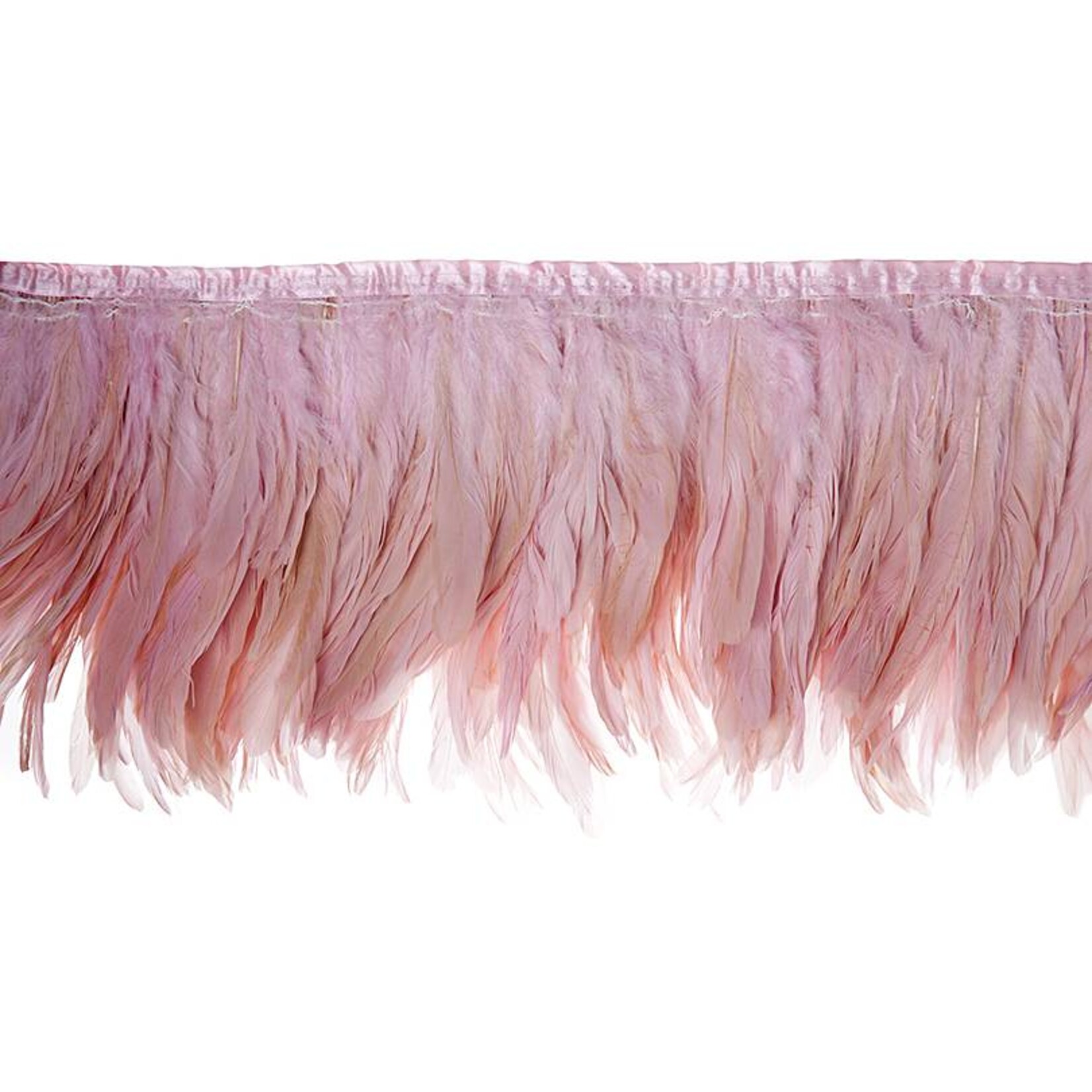 Feathers Strung With Ribbon Premium