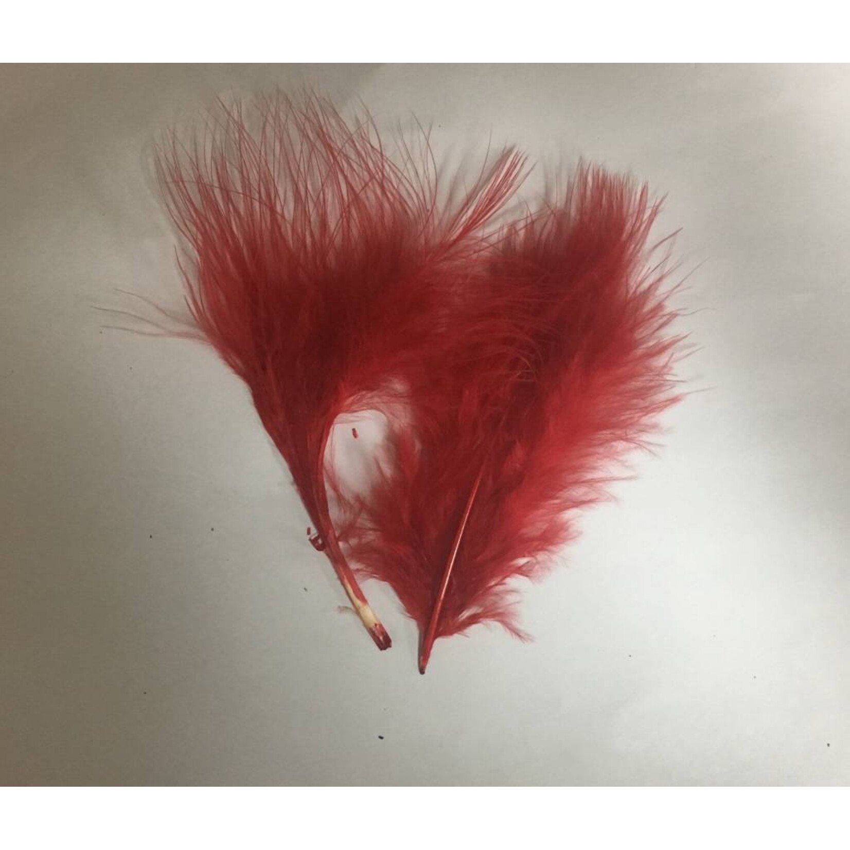 Marabou Fluff Feathers 4-7 Inch 1 LB
