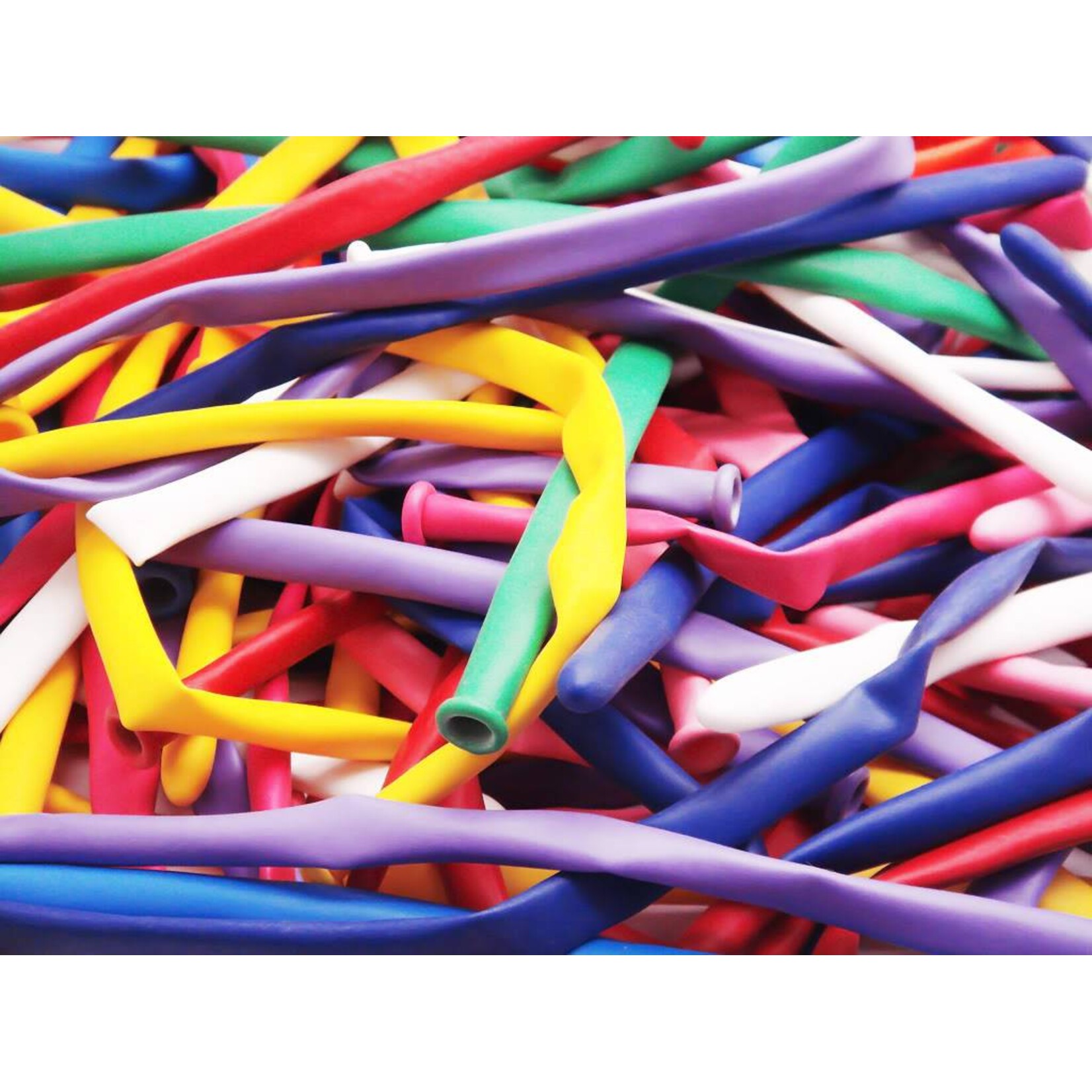 Twisty Balloon 15Ct Assorted