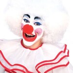 Deluxe Clown Wig White