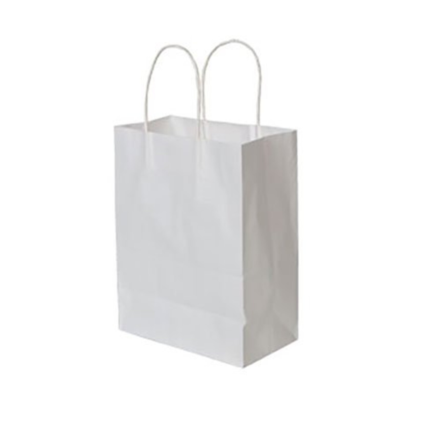 10ct Solid Color Favor Bag White