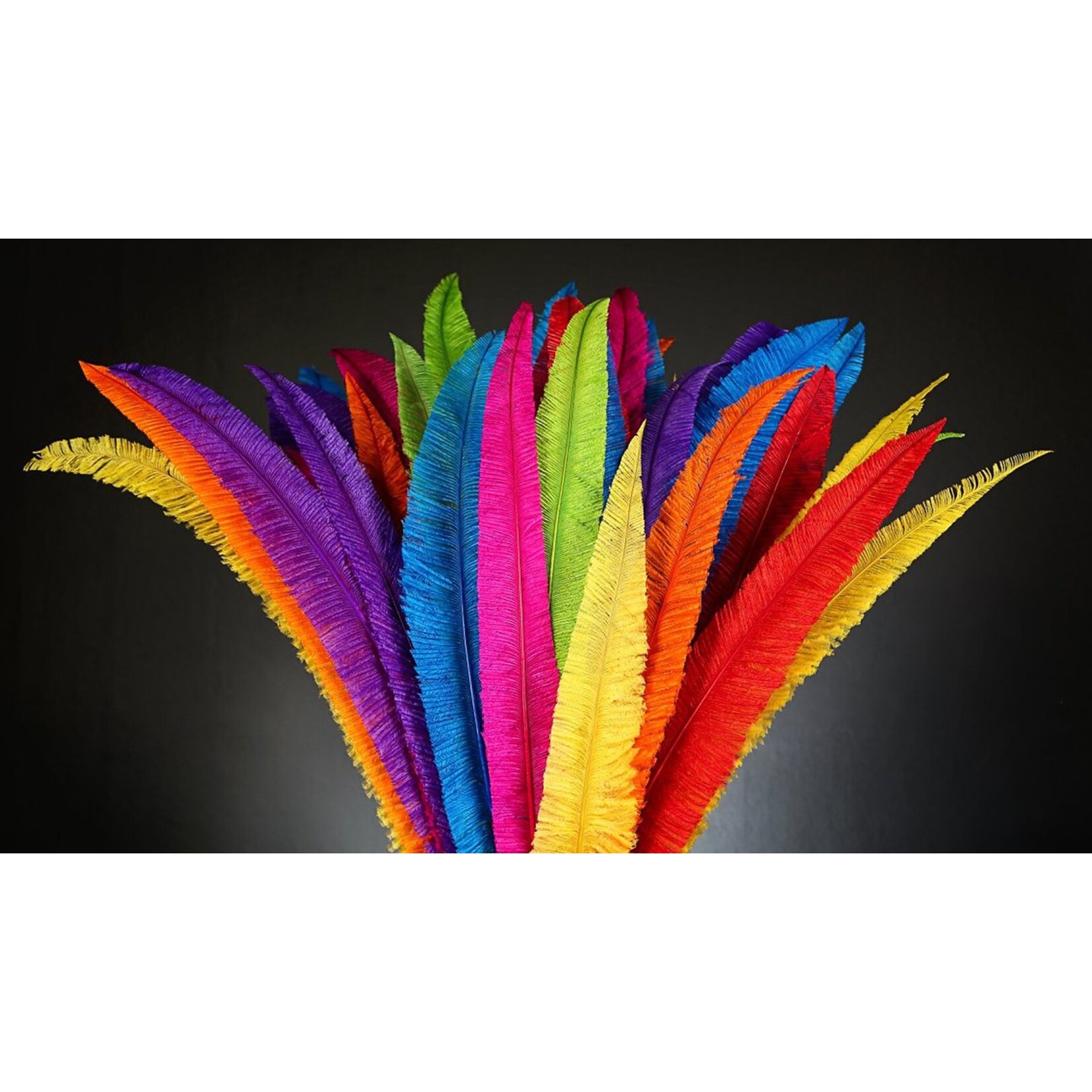 Nandu Feathers 20-25 Inch