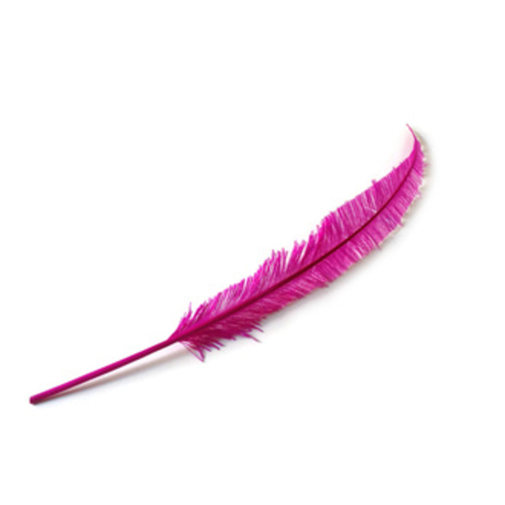 Nandu Feathers 20-25 Inch