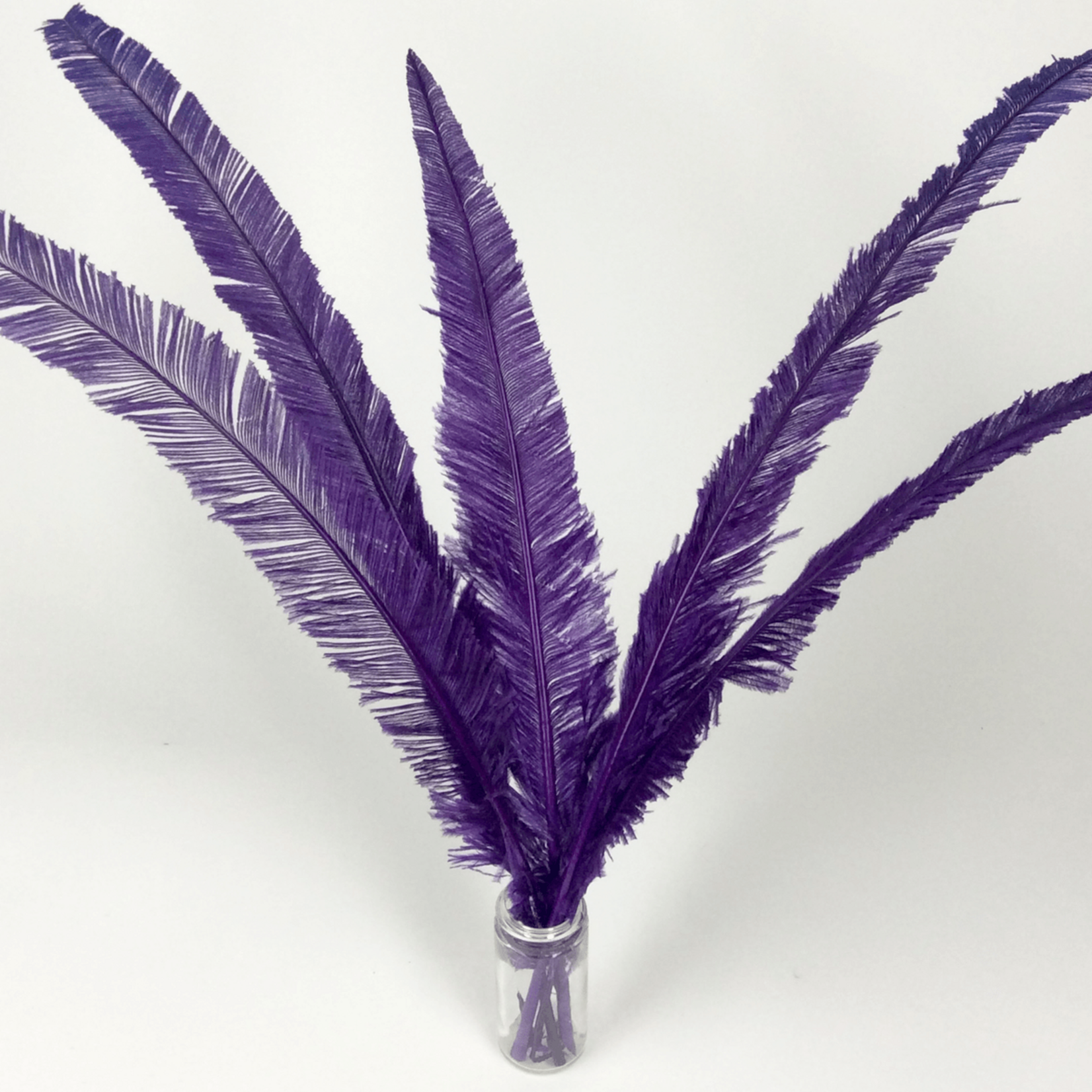 Nandu Feathers 20-25 Inch