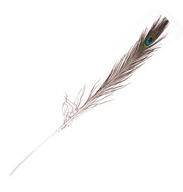 Peacock Feathers Natural 30-35"