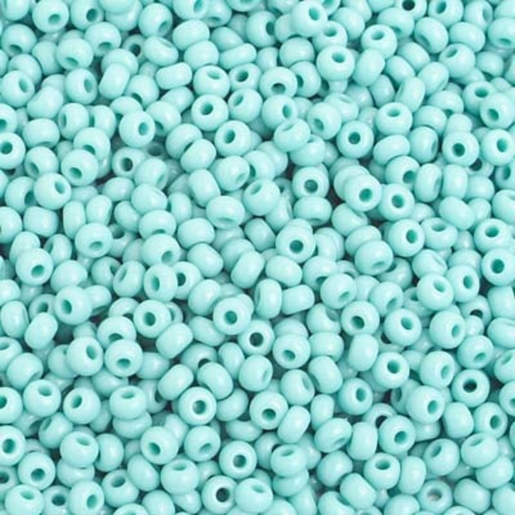 Seedbead (13 grams) Turquoise 8/0 Opaque