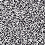Seedbead (500 grams) Silver 10/0 Metallic