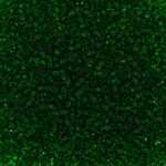 Seedbead (13 grams) Medium Green 10/0 Transparent