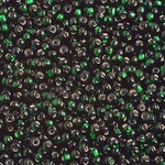 Seedbead (13 grams) Dark Green 10/0 Silverlined (S/L)