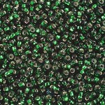 Seedbead (13 grams) Green 10/0 Transparent Silverlined