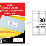 Selectum Mailing Labels 1 x 2 5/8 Inches (300 Labels)