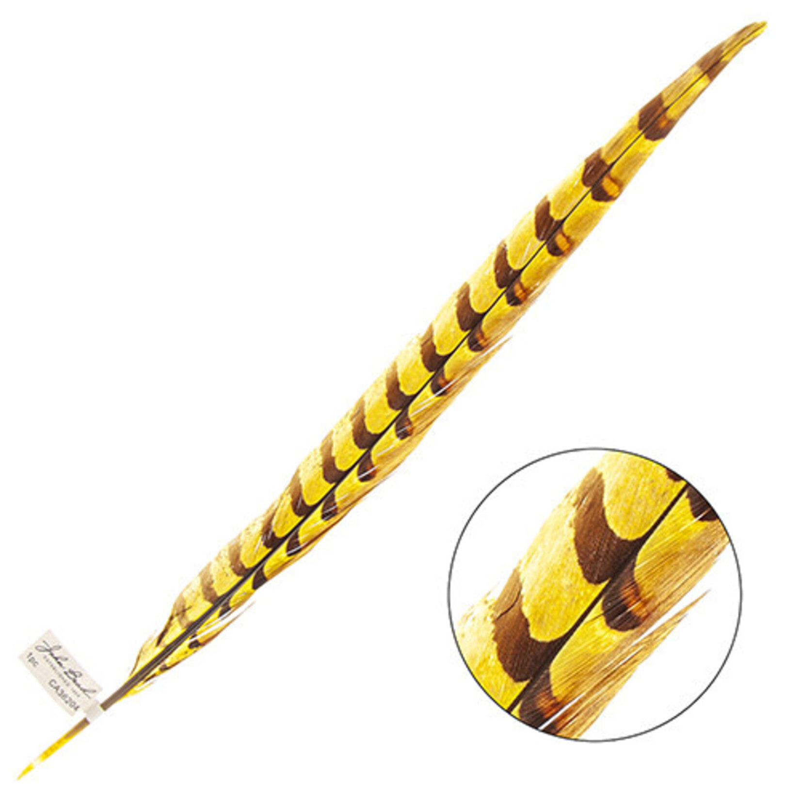 Reeves Pheasant Tail Yellow 20 - 25 Inch (1 Piece)
