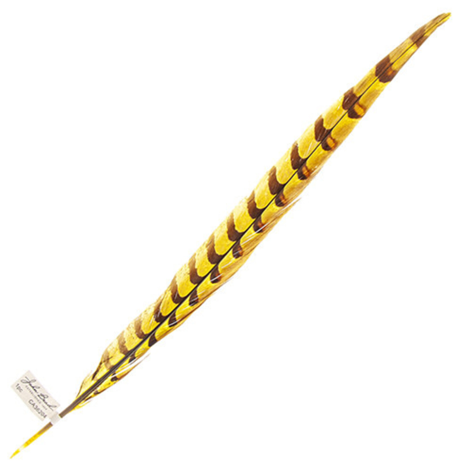 Reeves Pheasant Tail Yellow 20 - 25 Inch (1 Piece)