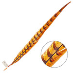 Reeves Pheasant Tail Orange 20 - 25 Inch