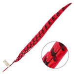 Reeves Pheasant Tail Red 20 - 25  (1 Piece)