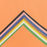 18" X 12" Construction Paper Pad