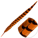 Reeves Pheasant Tail 20-25 Inches (3 pieces) Dyed Orange