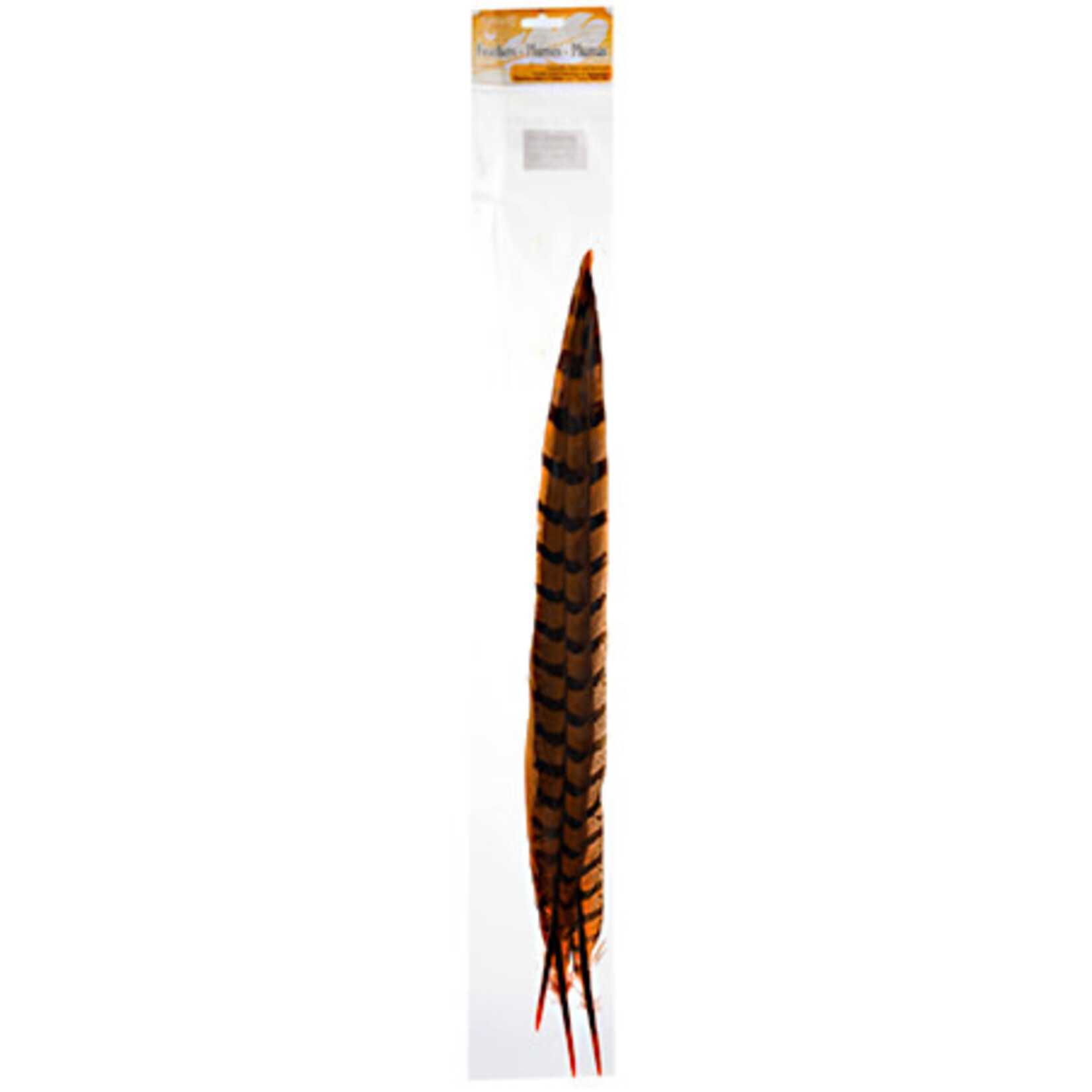 Reeves Pheasant Tail 20-25 Inches (3 pieces) Dyed Orange