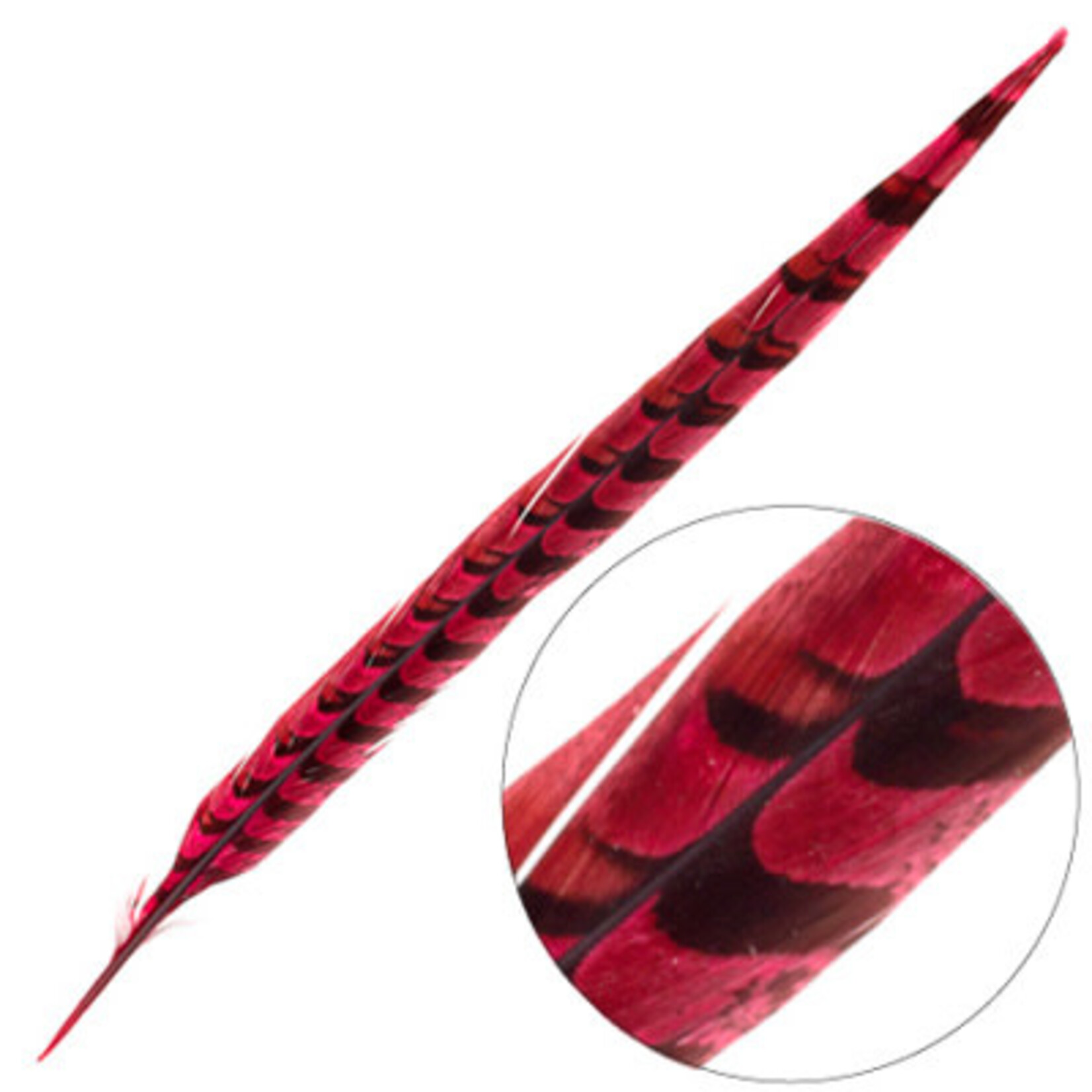 Reeves Pheasant Tail 20-25 Inches (3 pieces) Dyed Red