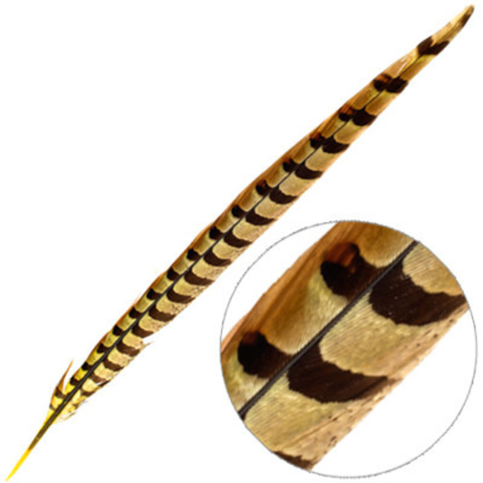 Reeves Pheasant Tail 20-25in (3 pieces) Dyed Yellow