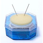 Straight Pin Silver W/ Sponge