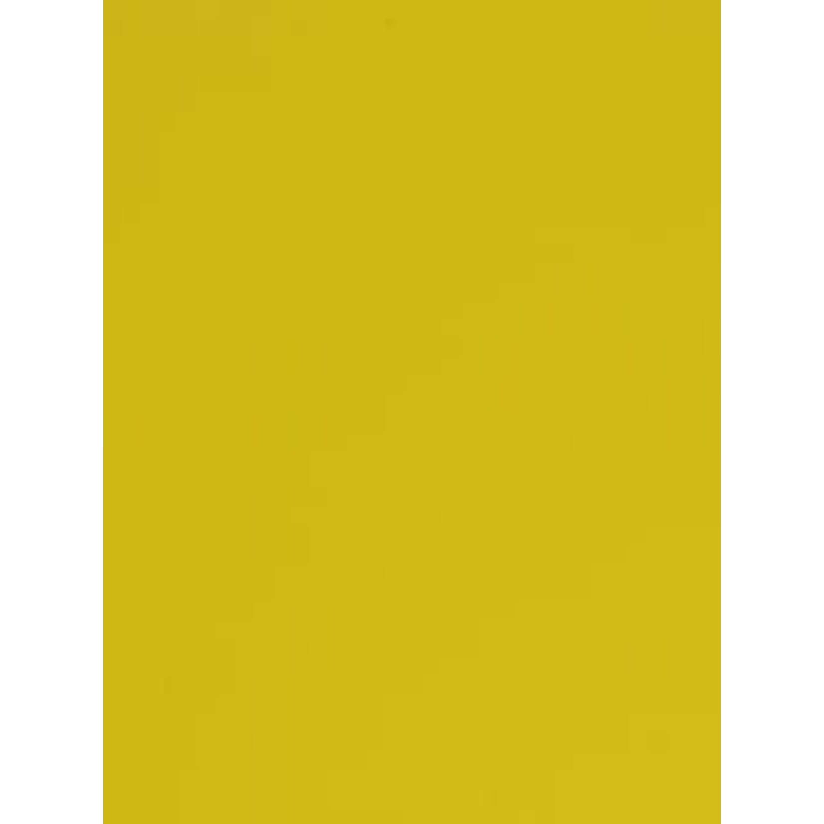 Body Paint Non-Toxic 1 Gallon