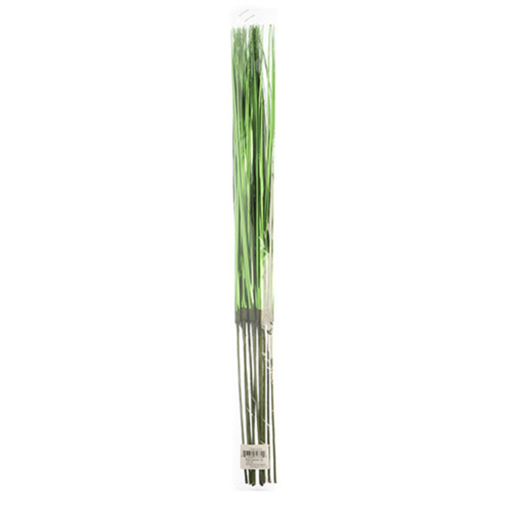 Onion Grass 18.5 Inches Metallic Flare (12 pieces)