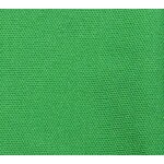 Plain Quiana 60 Inches Emerald Green