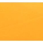 Plain Quiana 60 Inches Orange