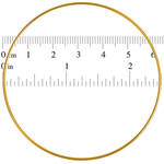 Metal Rings Brass 2.5 inch (Each)