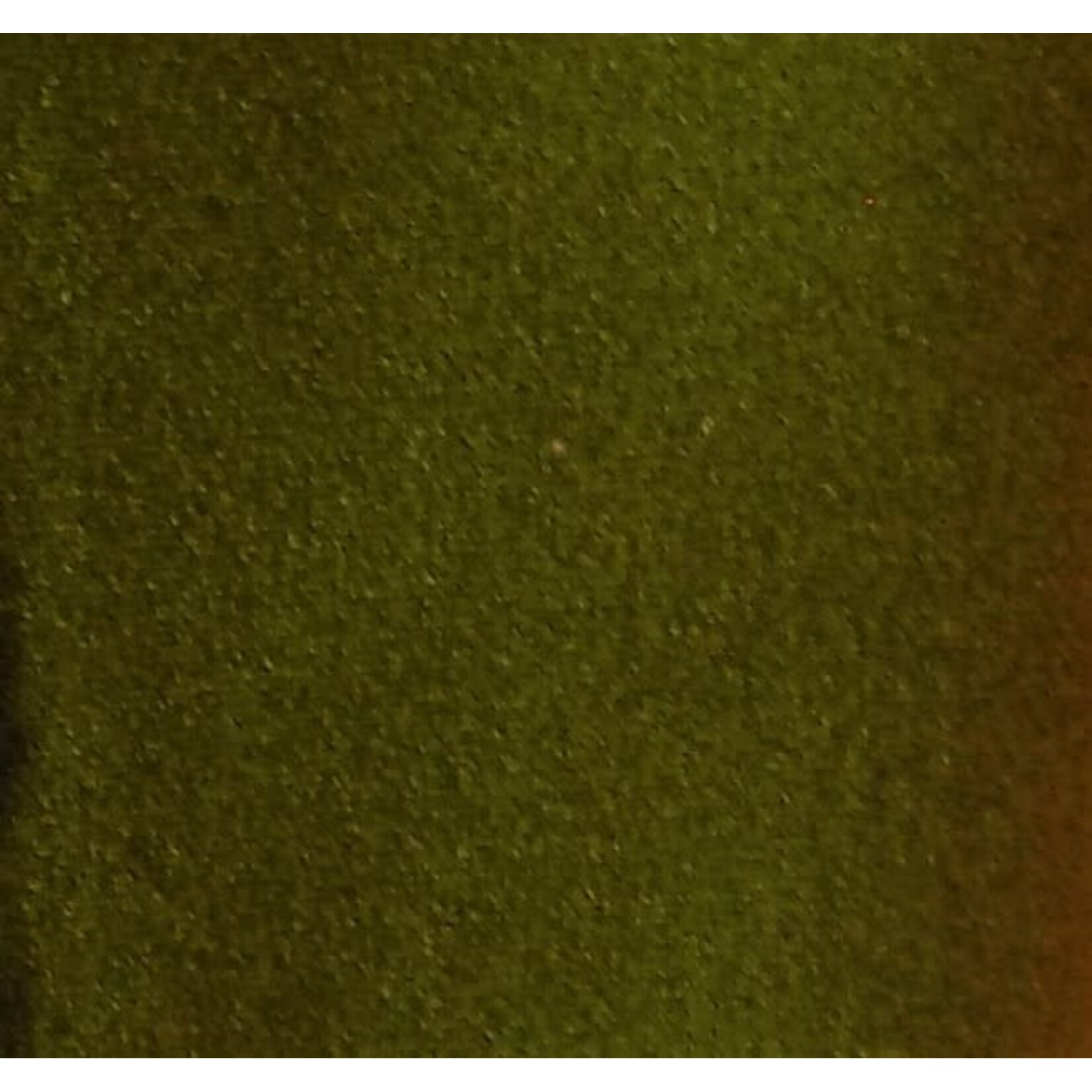 Plain Spandex 58-60 Inches (yard) Olive