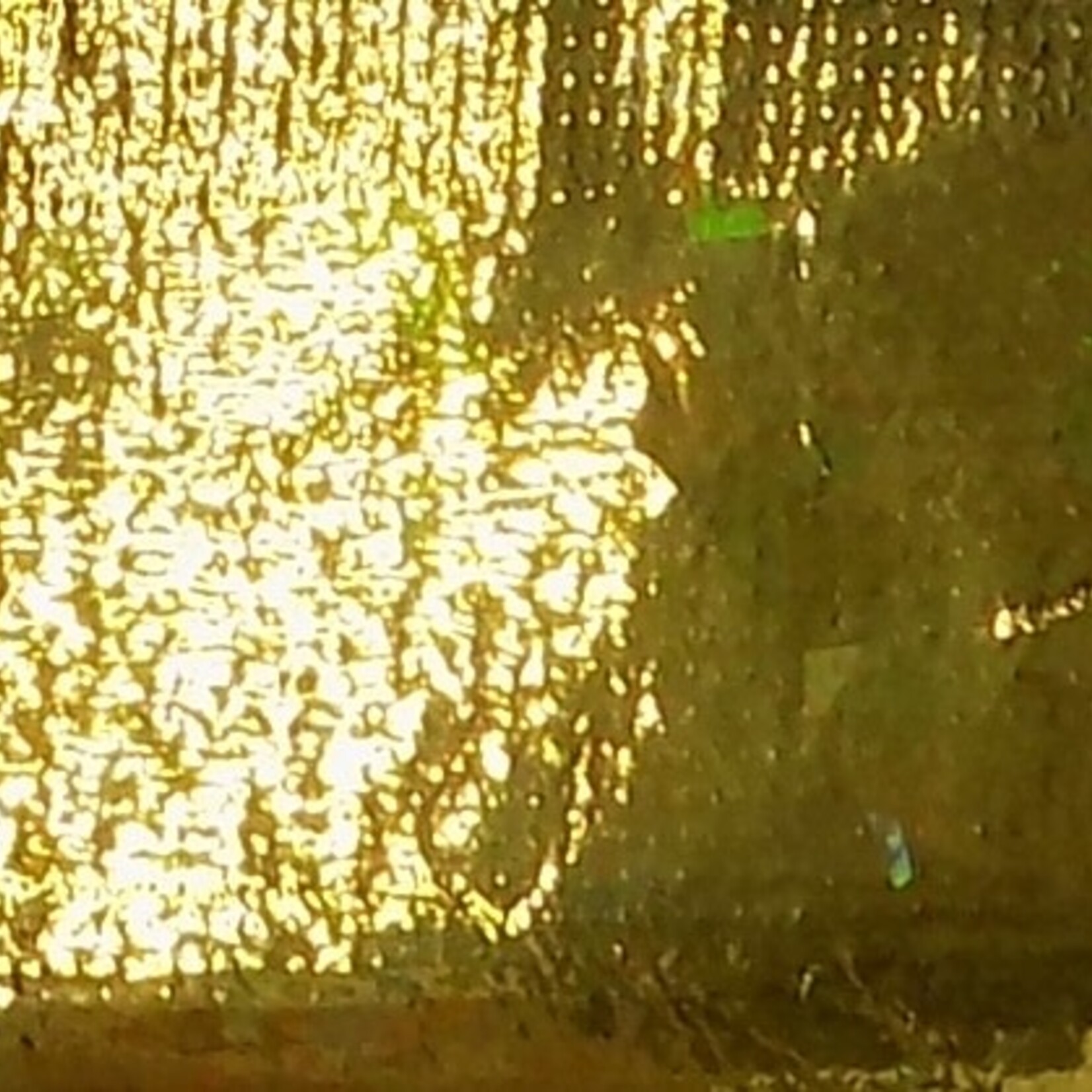 Tricot Lame 42 - 45 Inches Cut Glass Light Gold