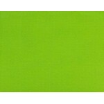 Chiffon 58 - 60 Inches Apple Green (Yard)