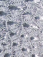 Pattern Fandango Leatherette w/ Fleece Backing Silver