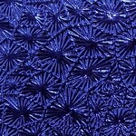 Pattern Fandango Leatherette w/ Fleece Backing Royal Blue